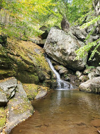 A photo of Dave Falls.