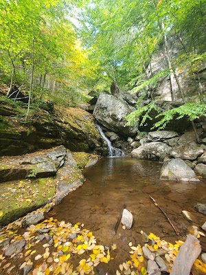 Another photo of Dave Falls.