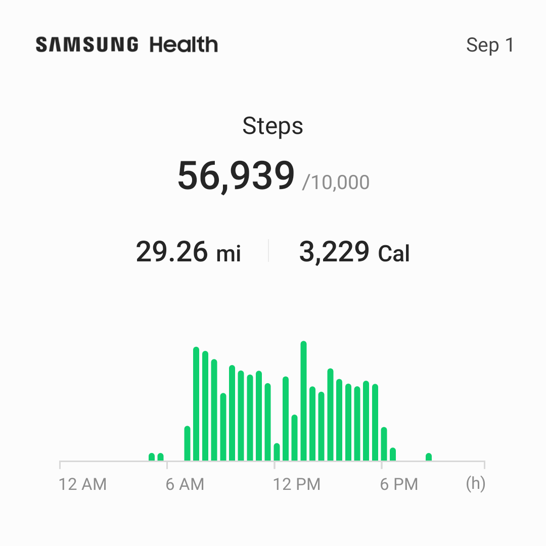Screenshot showing map of recorded steps.