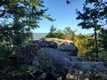 A photo of the forest, trails.