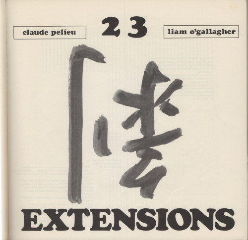 The title page for '23 Extensions', one of the computational works included in the collection. The large Chinese character at the center is upside-down (剝). A scan of the the title page for 23 Extensions. A large Chinese character is in the center of the page with the title and authors at the top and bottom.